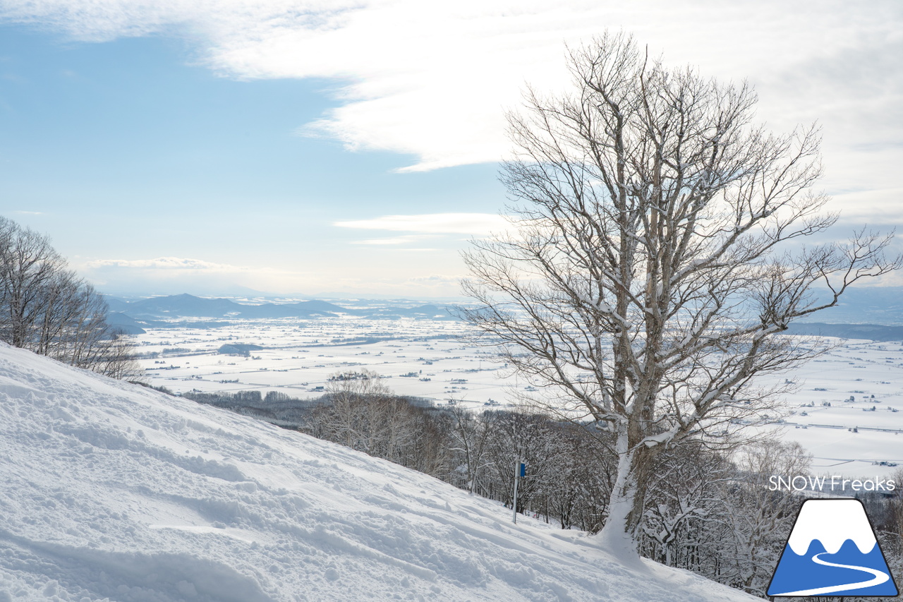 ぴっぷスキー場｜旭川紋別自動車道・比布北インターを降りたら約３分で到着。良質な雪、多彩なコース、抜群の眺望、美味しいグルメ、アフタースキーに温泉も。。。とっても高い満足度を誇るローカルゲレンデを滑ります(^^)/
